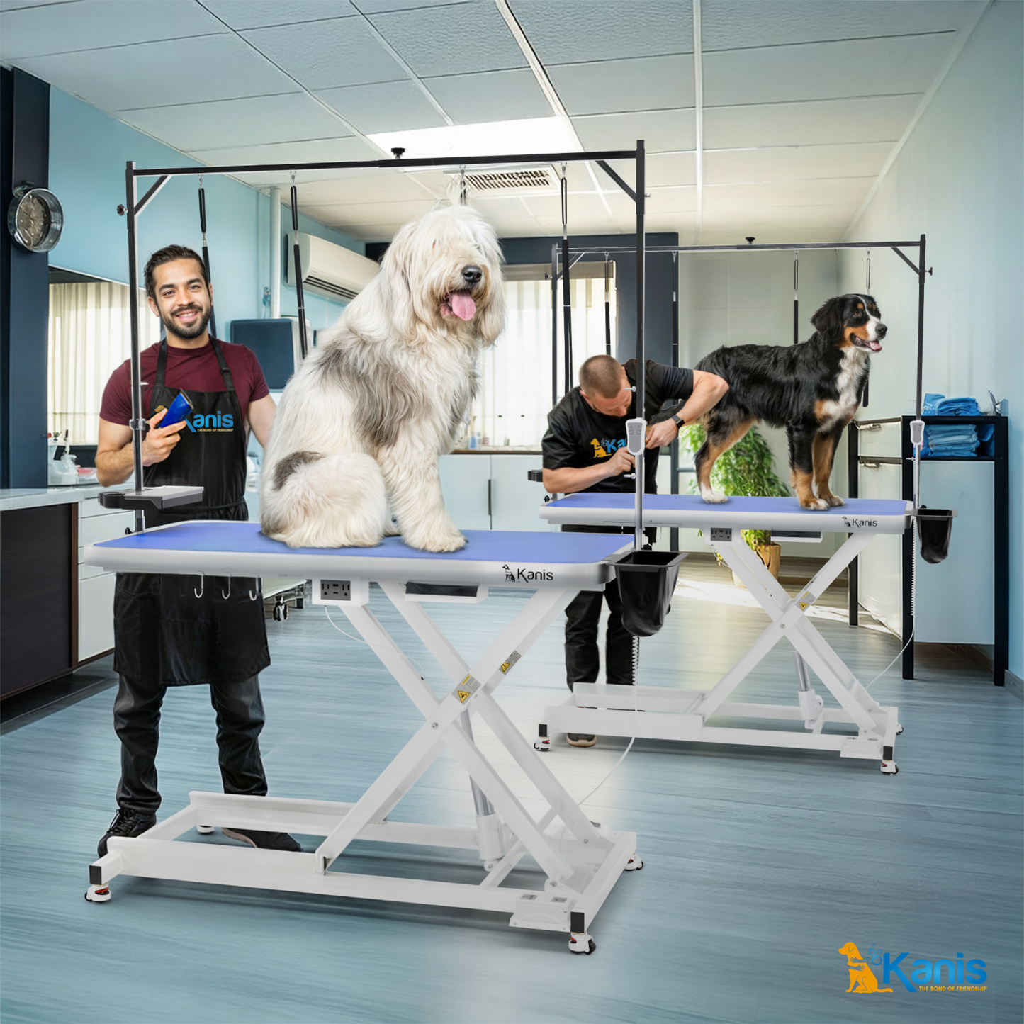 KANIS - Professional Electric Dog Grooming Table