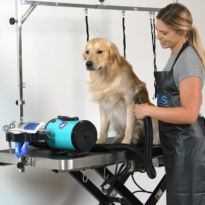 KANIS - Professional Electric Dog Grooming Table